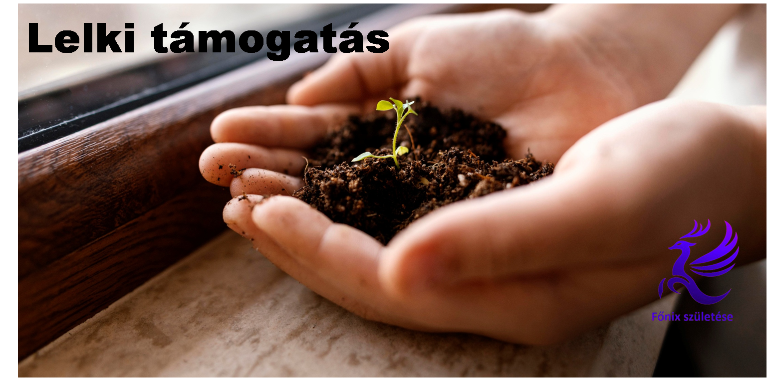 Az új kezdet, és fejlődés