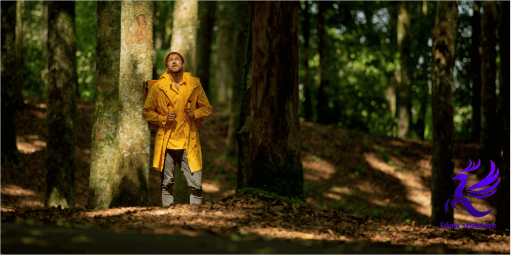 A saját út keresése