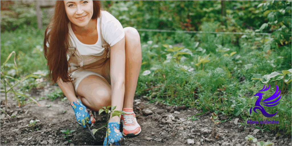 Egy nő, növényt ültet