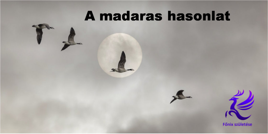 Tudat szerepe a valóságban